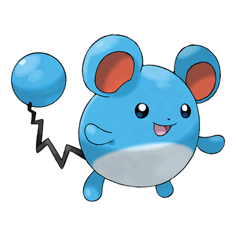 Marill - water/fairy type Pokémon #183