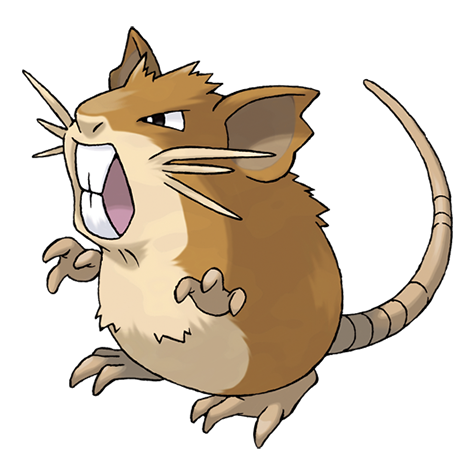 Raticate - normal type Pokémon #20