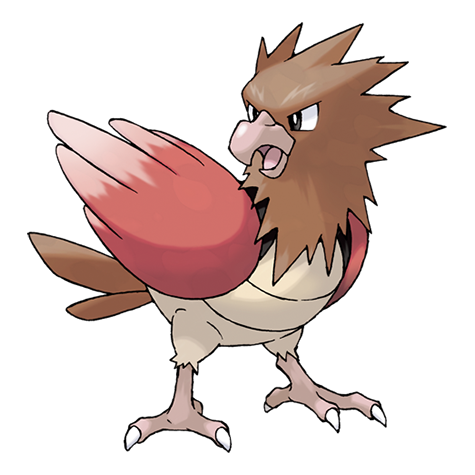 Spearow - normal/flying type Pokémon #21