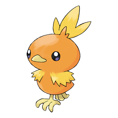 Torchic - fire type Pokémon #255