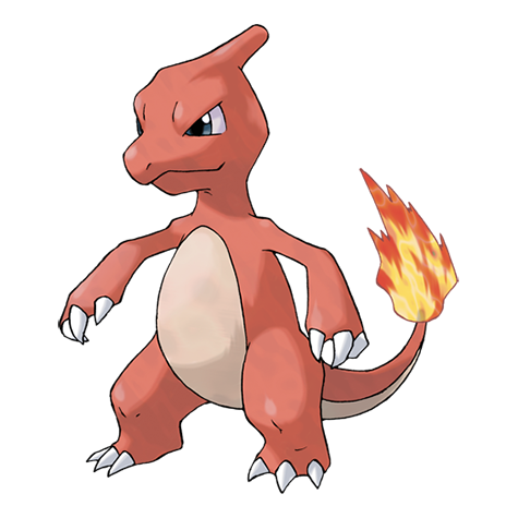 Charmeleon - fire type Pokémon #5