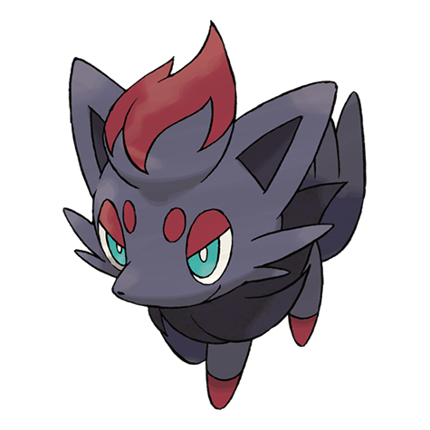 Zorua - dark type Pokémon #570