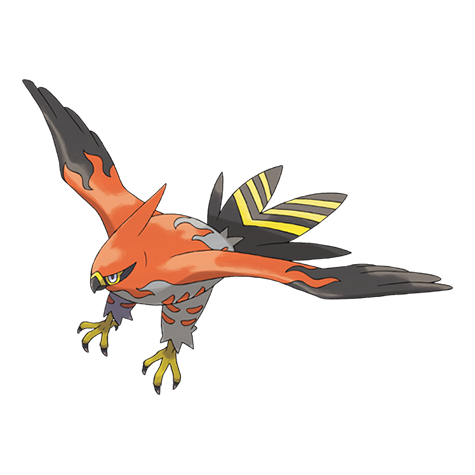 Talonflame - fire/flying type Pokémon #663