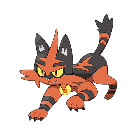 Torracat - fire type Pokémon #726
