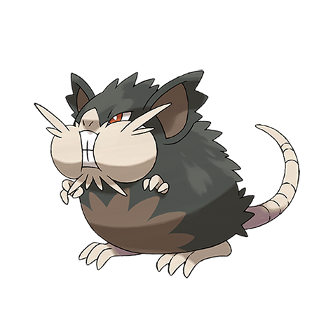 Raticate-alola - dark/normal type Pokémon #10092, official artwork from Pokédex