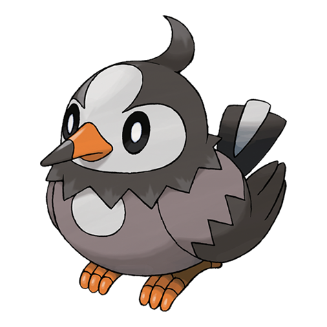 Starly - normal/flying type Pokémon #396, official artwork from Pokédex